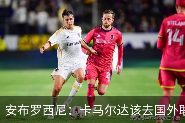 安布罗西尼：卡马尔达该去国外联赛踢球，看看特雷索尔迪表现